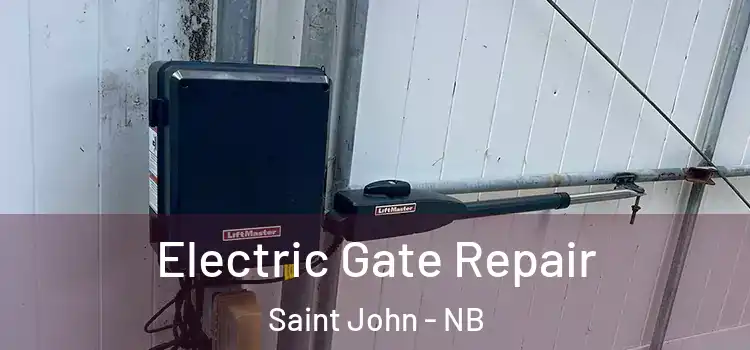 Electric Gate Repair Saint John - NB