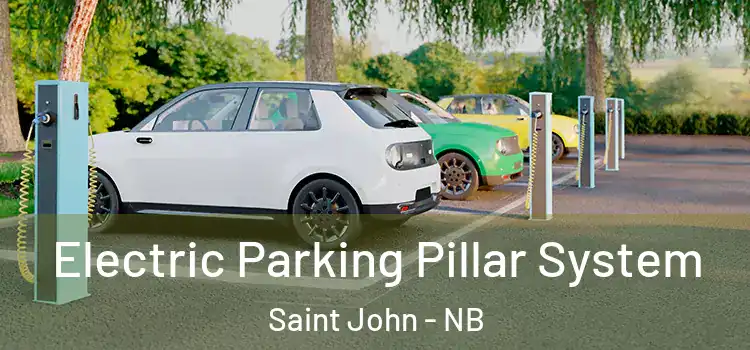 Electric Parking Pillar System Saint John - NB